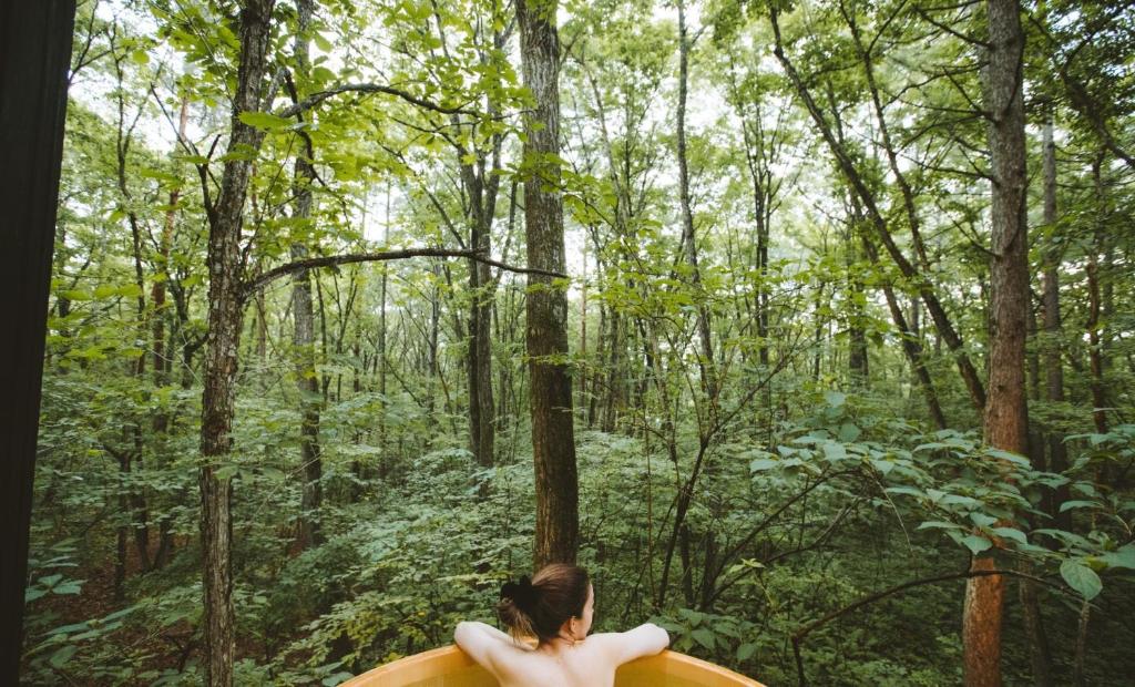 Agatsuma-gun - House - Vacation STAY 11437 photo 3