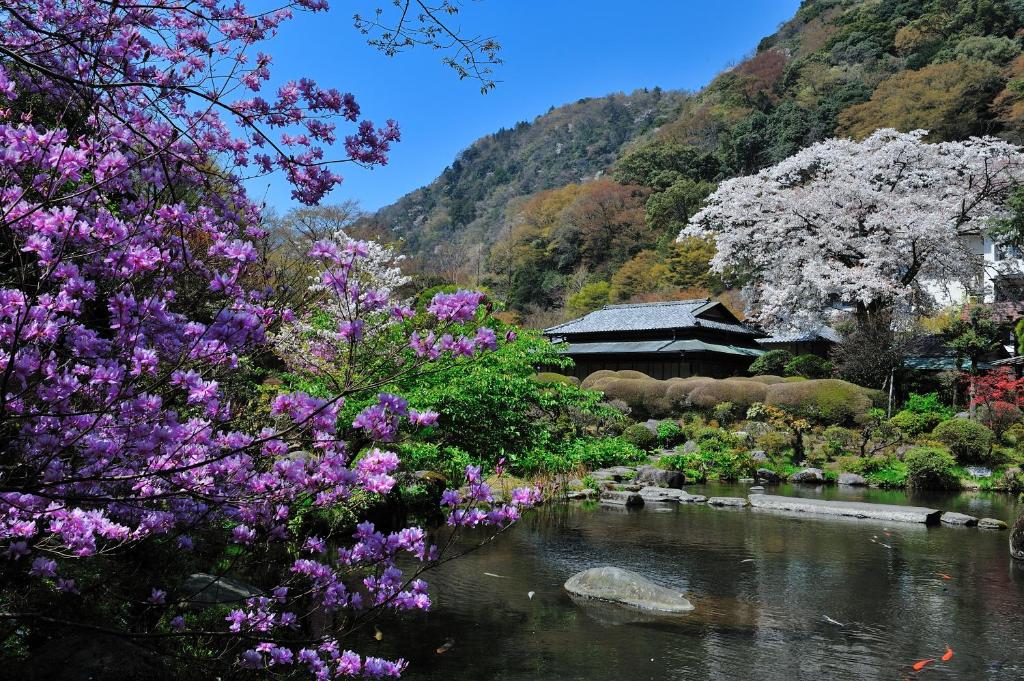 Yoshiike Ryokan photo 2