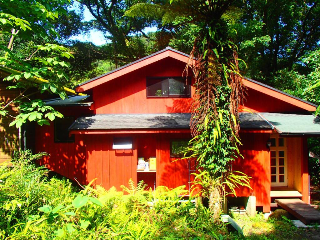 屋久島コテージ対流山荘 — photo 1