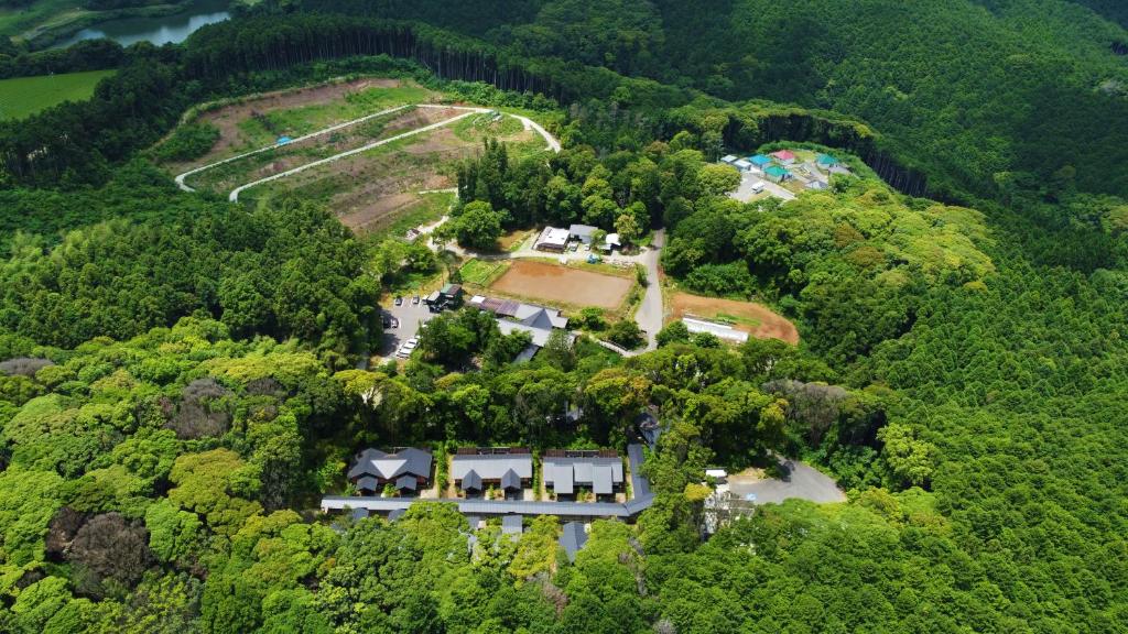 Tsuwabuki no Hana — photo 1