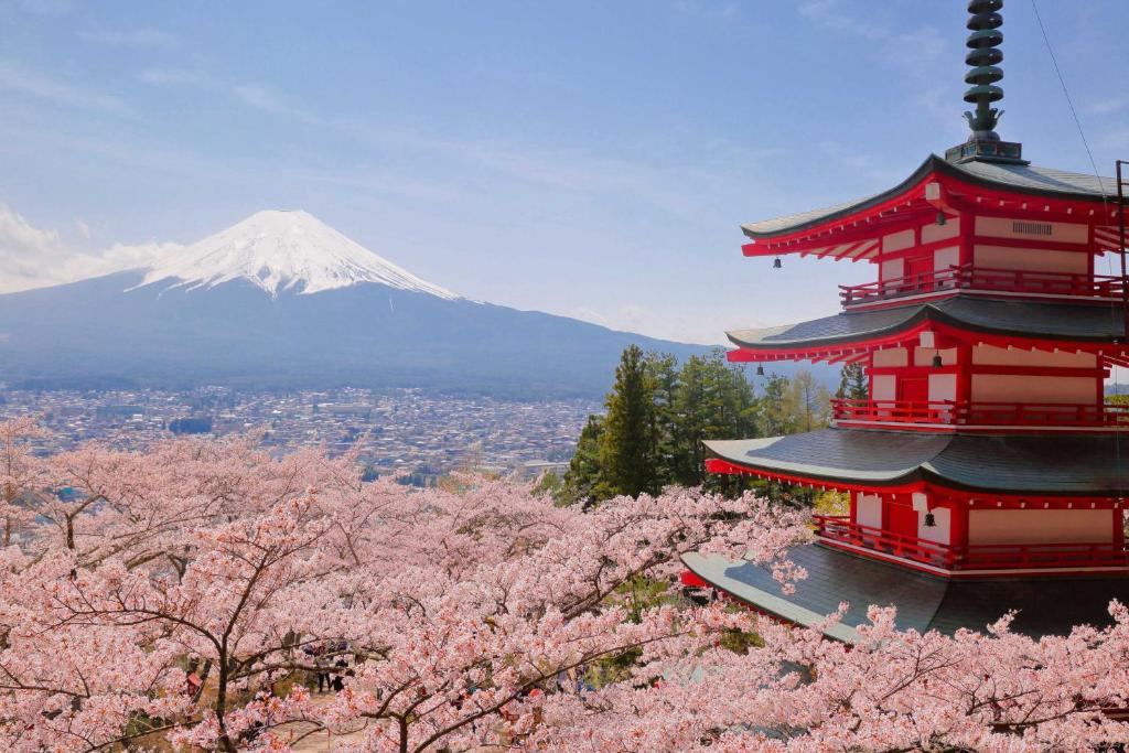 Mt Fuji View and Private Sauna Ryokan Shizuku しずく photo 2