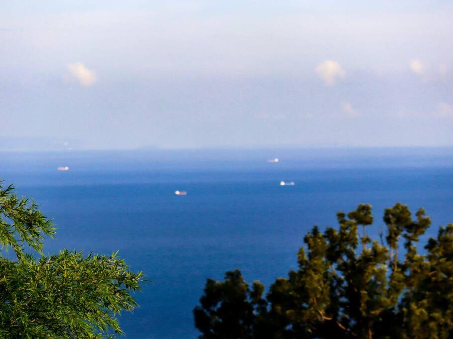 伊豆高原-忘我庵 Cozy Ocean View Villa photo 3