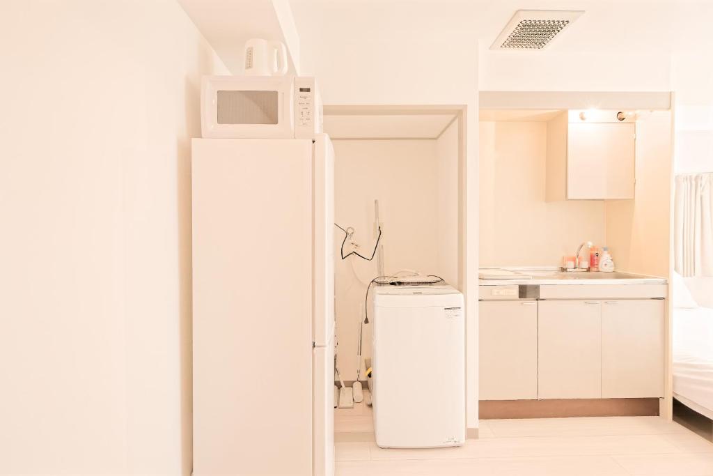 Mi-APT SHIRO photo 3
