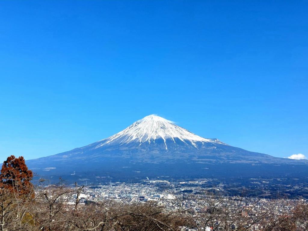 Tokiwa Hotel photo 3