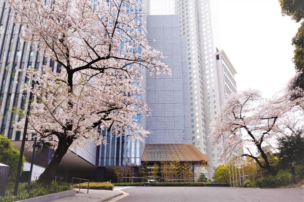 The Capitol Hotel Tokyu photo 3