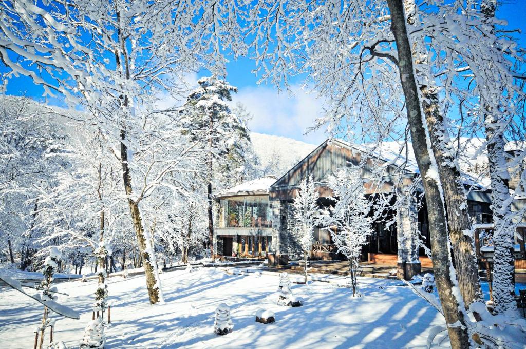 Hotel Sierra Resort Hakuba — photo 1