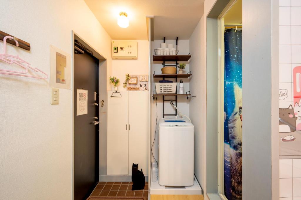 Tokyo Shibuya Shinjyuku Cat House ! photo 3
