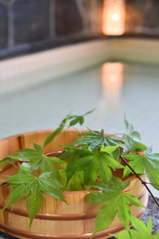 Takenoya Ryokan (Guest House Takenoya) photo 3