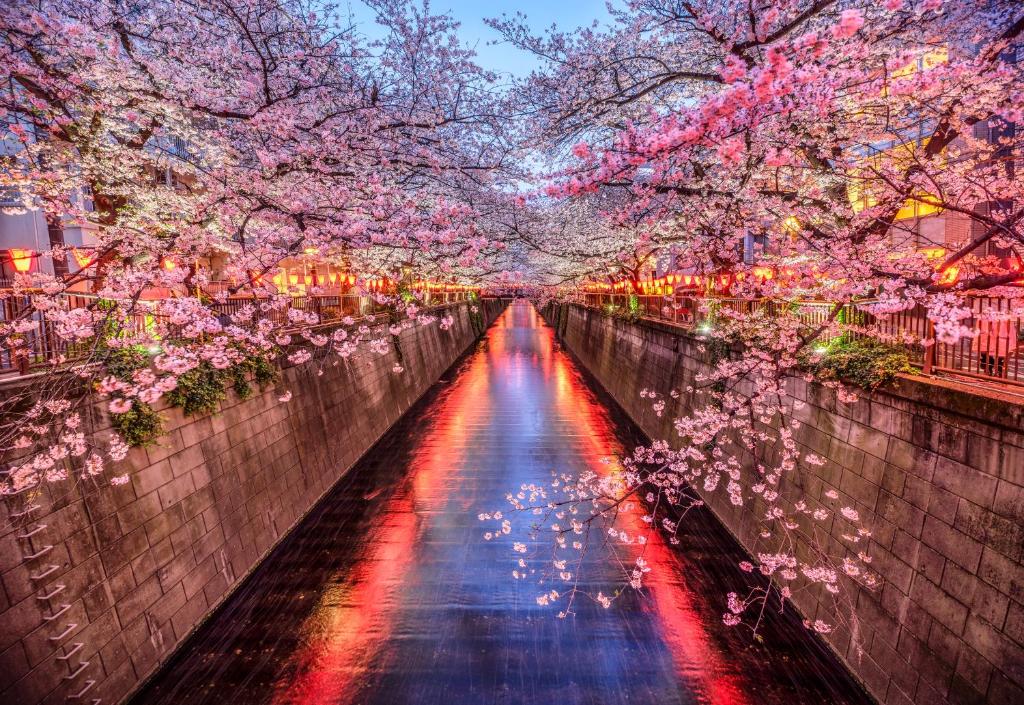 The Westin Tokyo photo 2