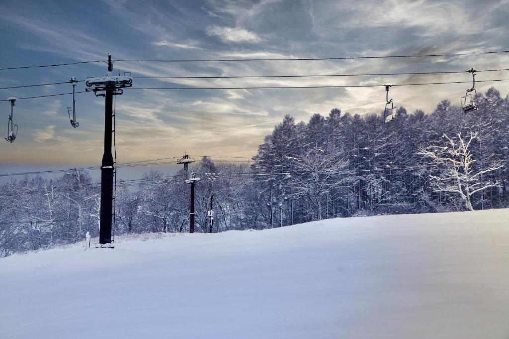 SKI INN HAKUBA photo 2
