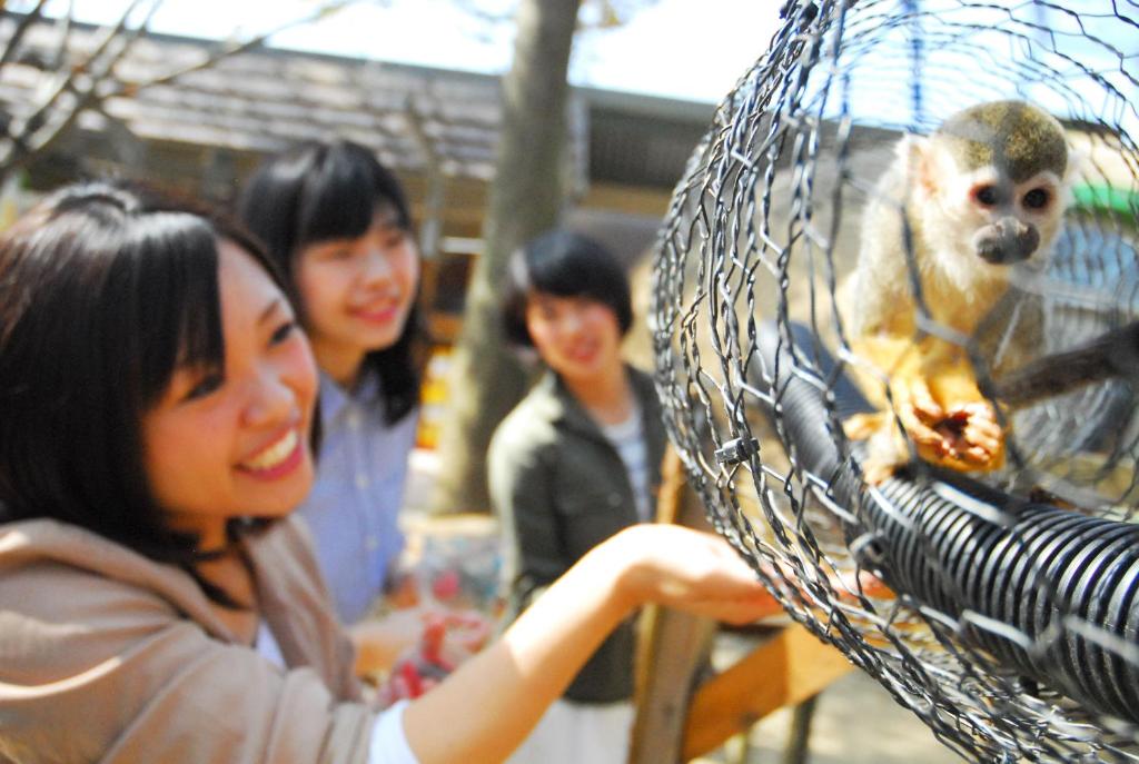 Aso Farm Land photo 2