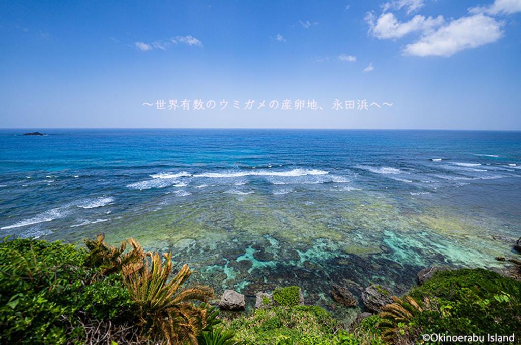 Yakushima Umigame house 屋久島 海がめの里 蘭亭 photo 3