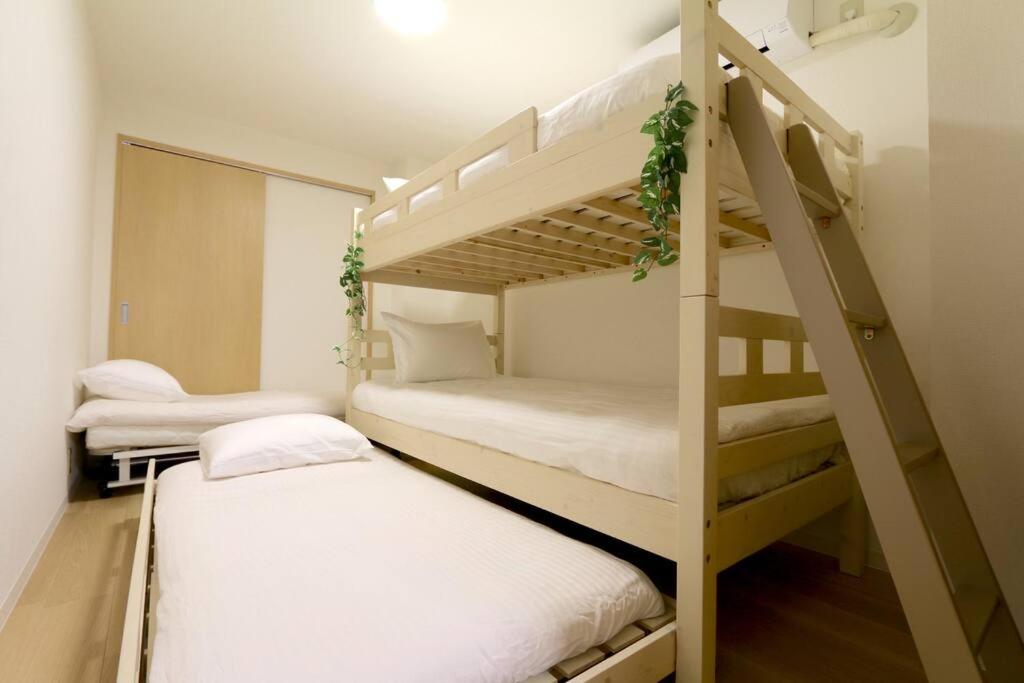 ND42 COMFORT Daikoku photo 2