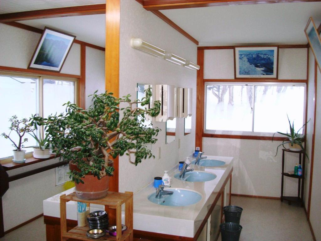 Togakushi- Kogen Minshuku Rindo photo 3