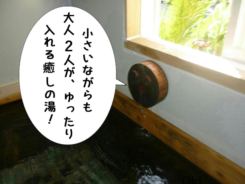 Rino to Hiroto no Himitsukichi - Vacation STAY 92317v — photo 1