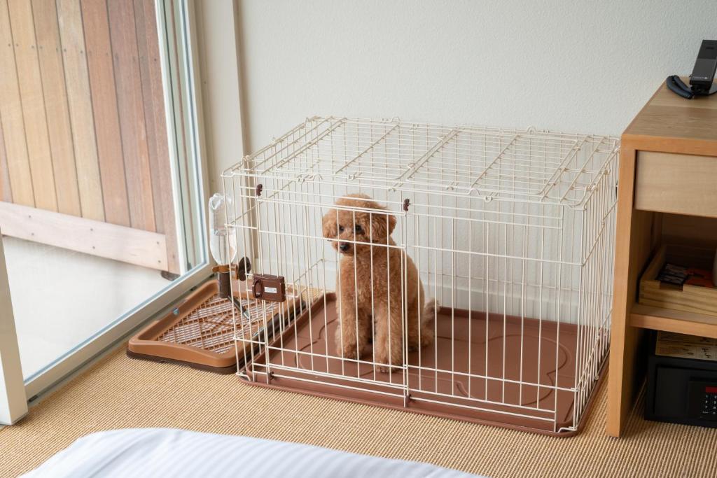 KAMOME SLOW HOTEL the COMPACT photo 2