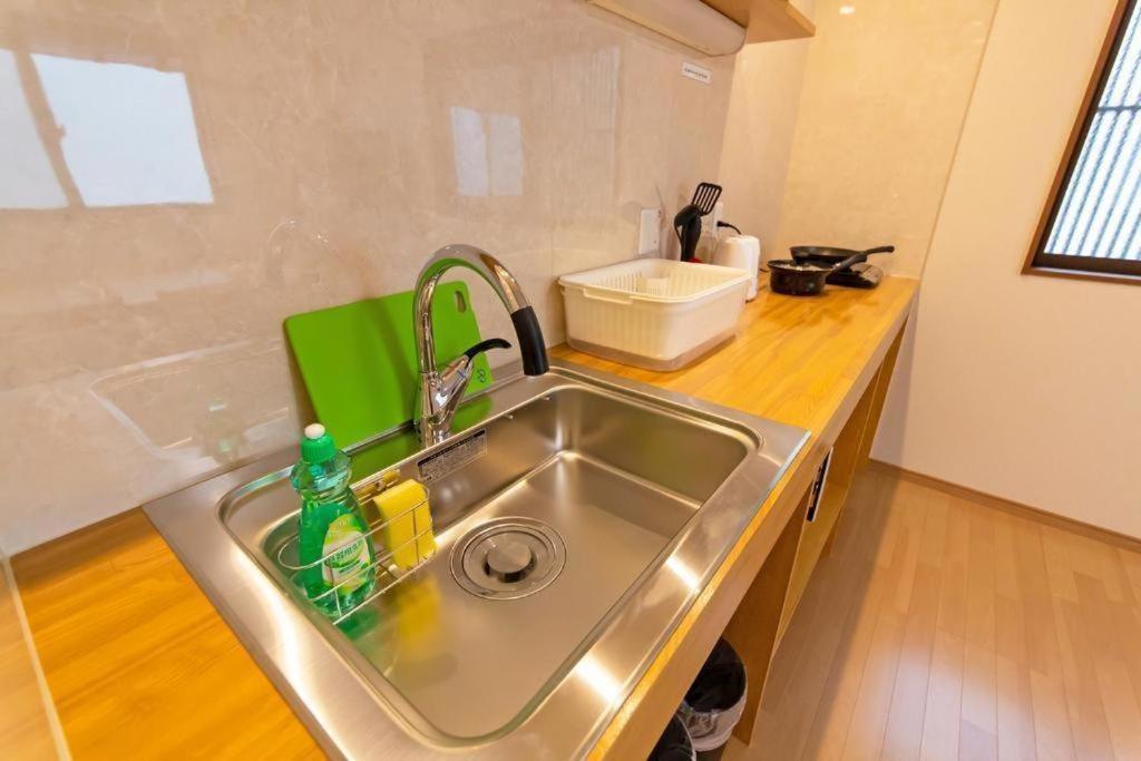 Backyard Fox photo 3