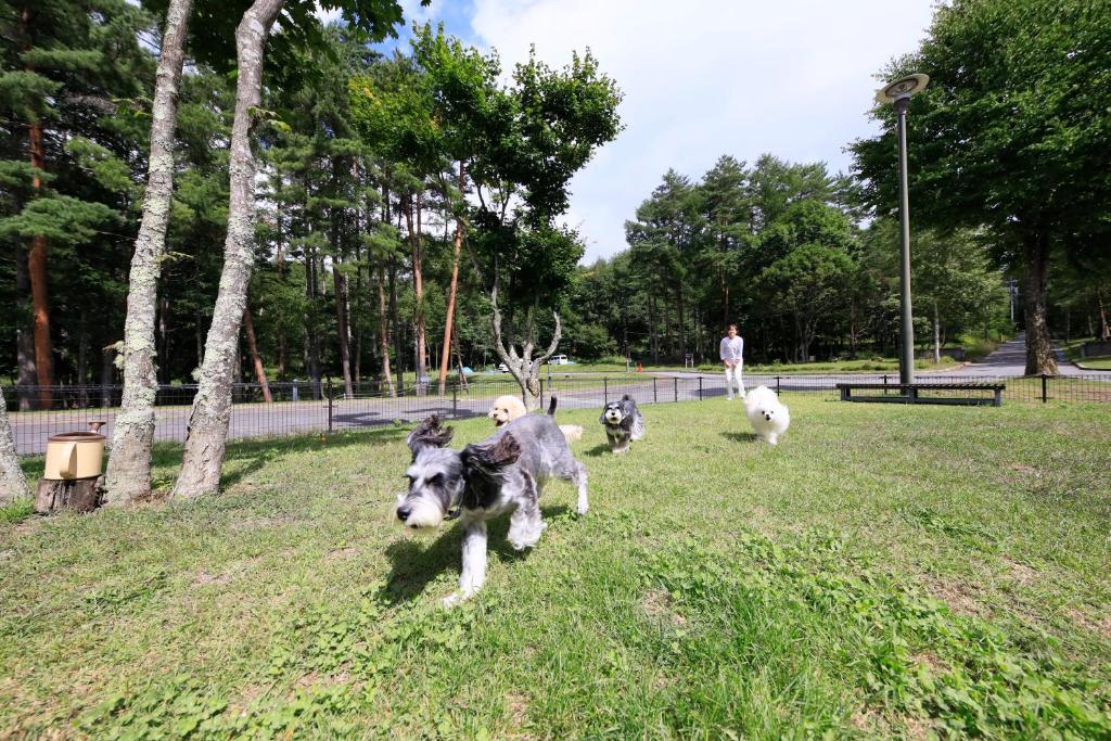 Yutorelo Tateshina Hotel with DOGS photo 2