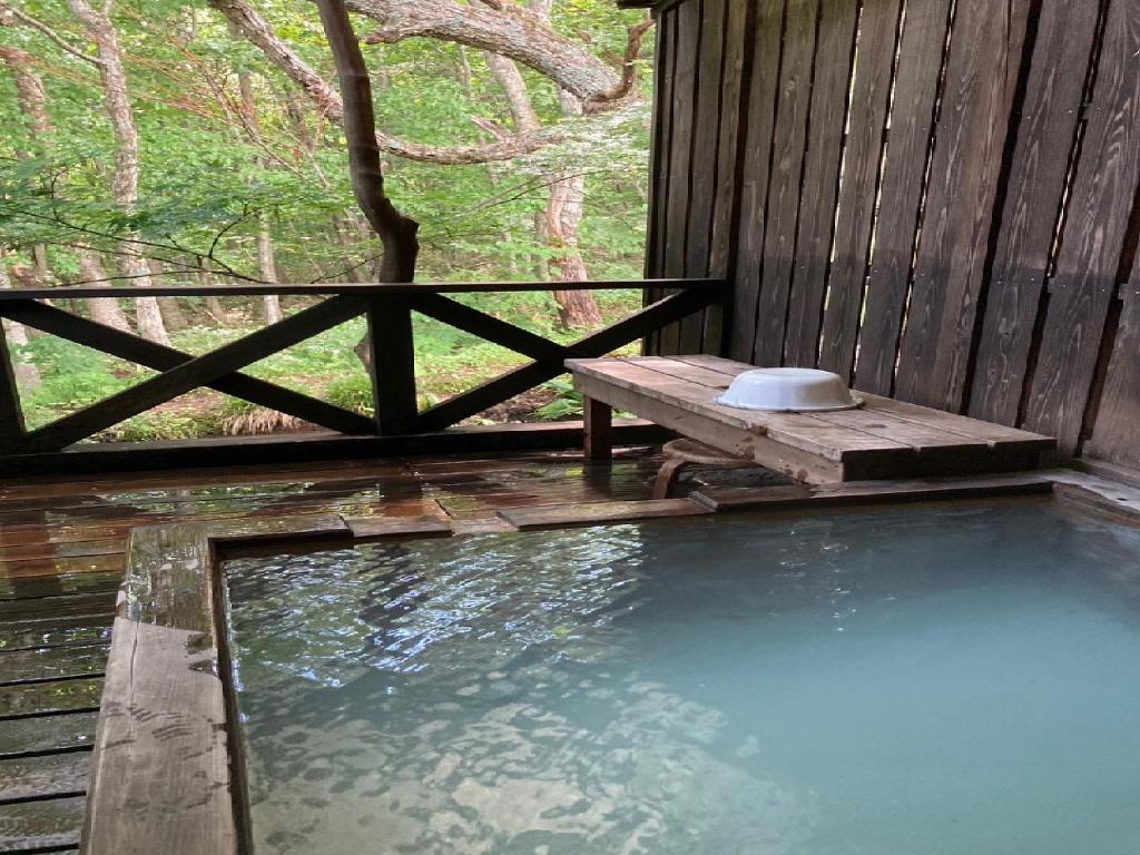 Shinyu Onsen Kurikomaso photo 2