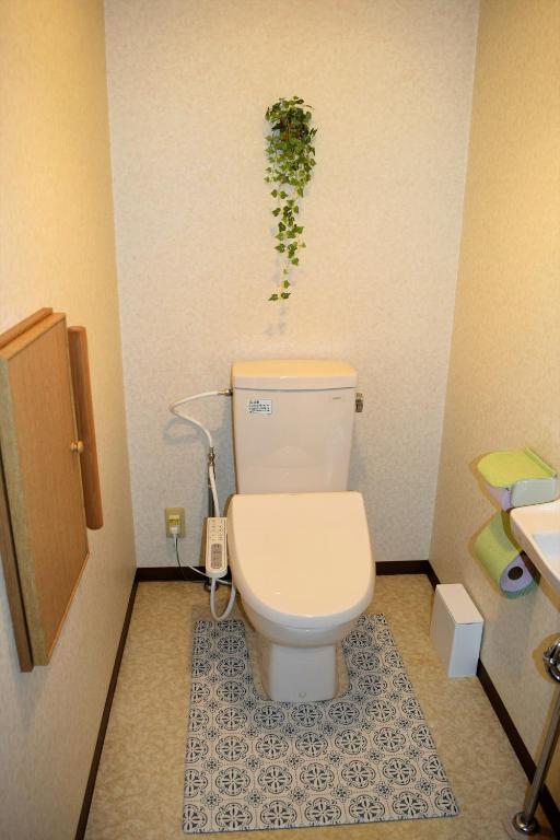 とれるの【TORERUNO】 photo 3