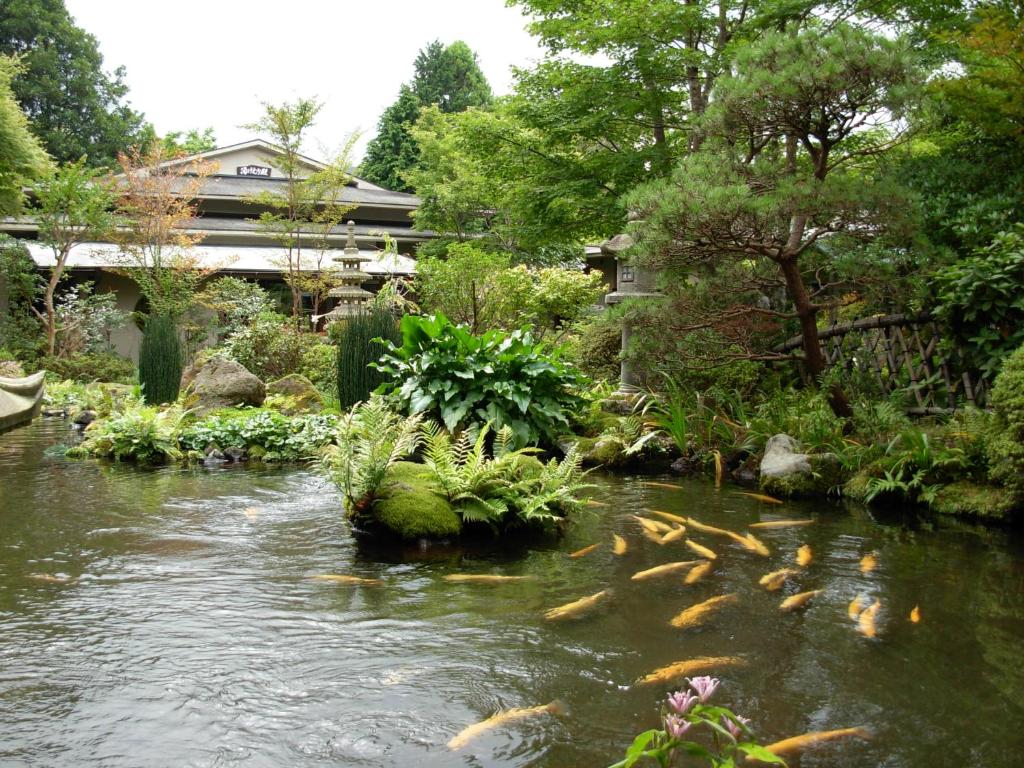 Yoshimatsu photo 2
