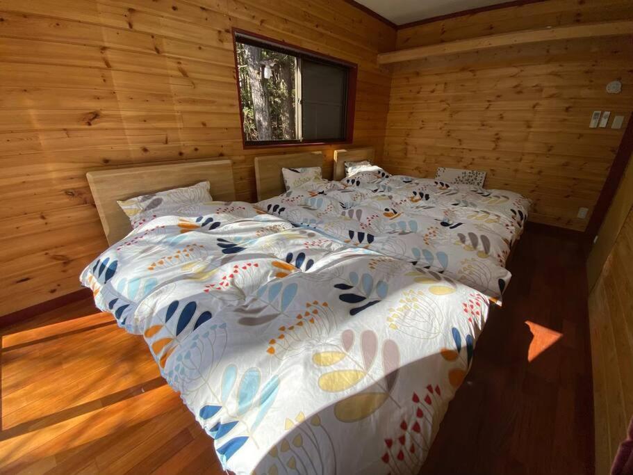 森の中のぽつんとワンワン別荘 — photo 1
