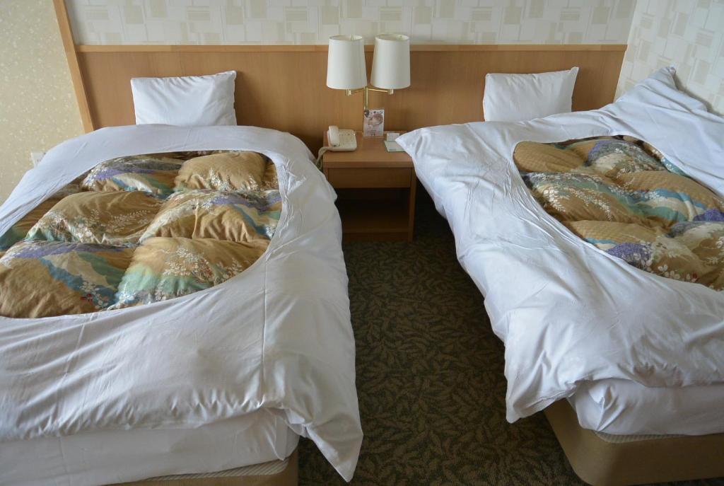 Toya Kanko Hotel photo 2