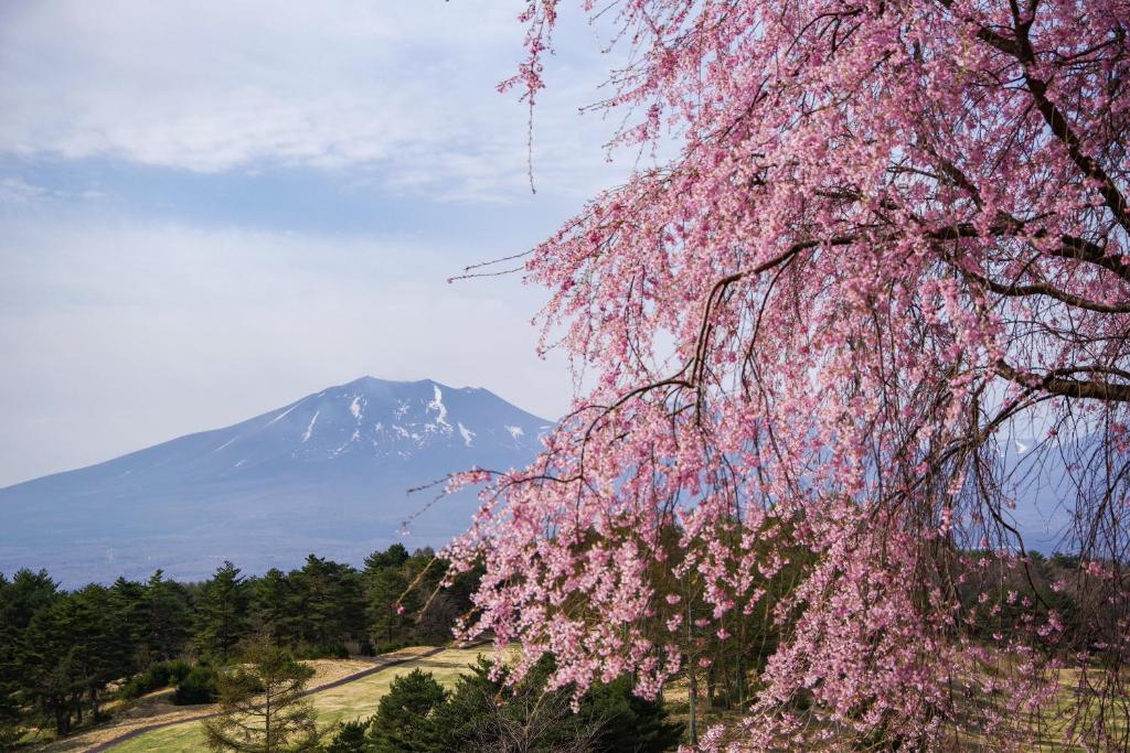 Tsumagoi Prince Hotel photo 3