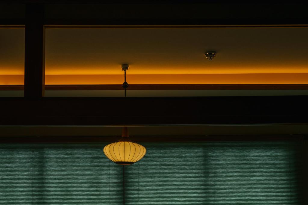 willow. — photo 1