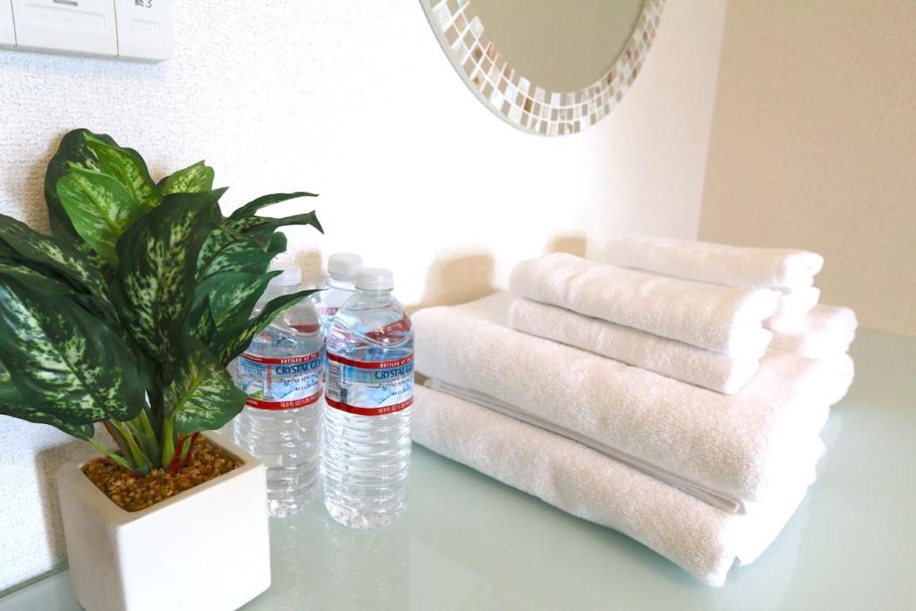 NM32 Liz Osaka Castle photo 3