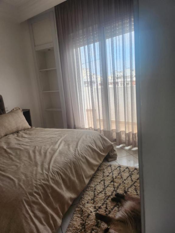 Appartement — photo 1