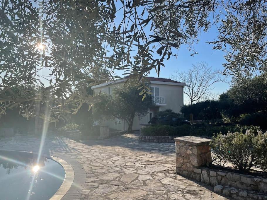 Villa Thetis — photo 1