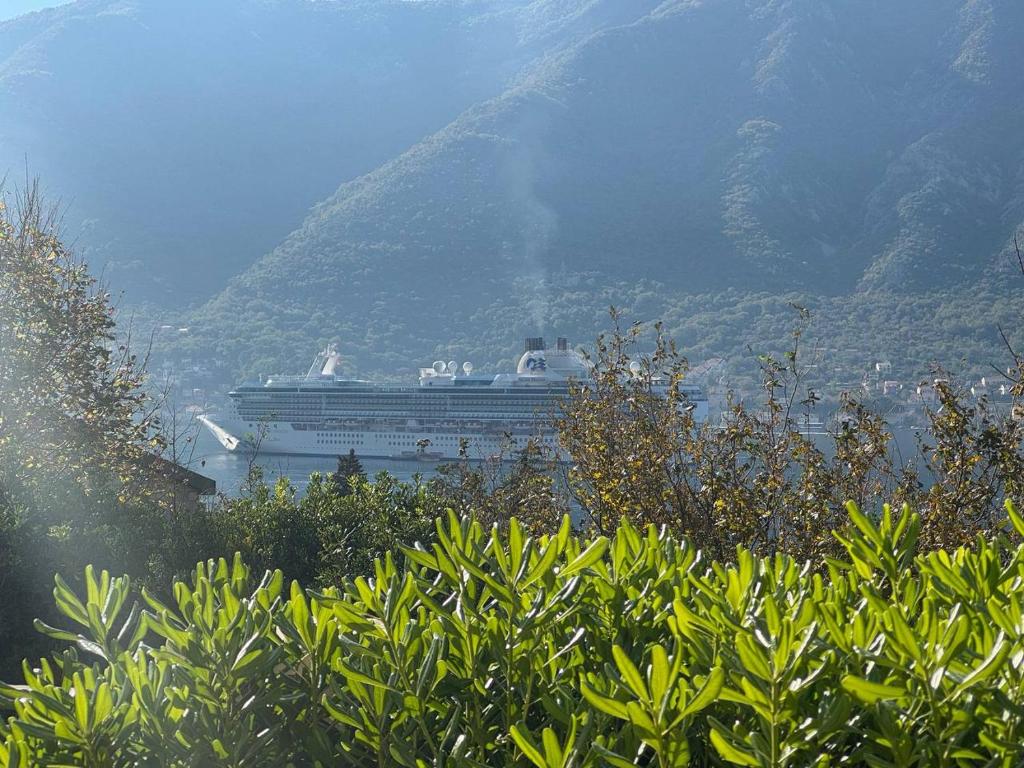 Modern bright 2 bedroom apartment with panoramic view of Boka Kotorska Bay — photo 1