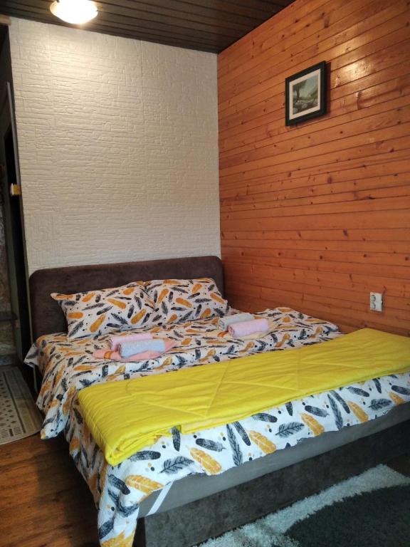 Studio apartman Dragana — photo 1