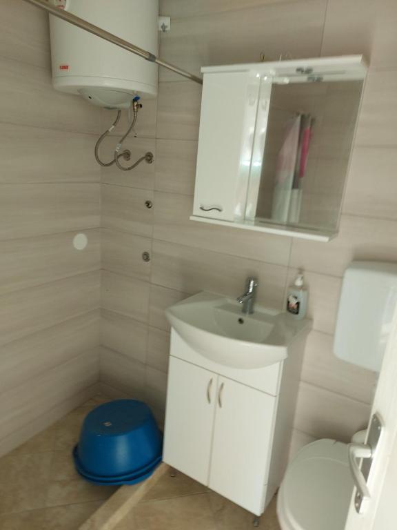 Crni Bor Sutomore photo 3