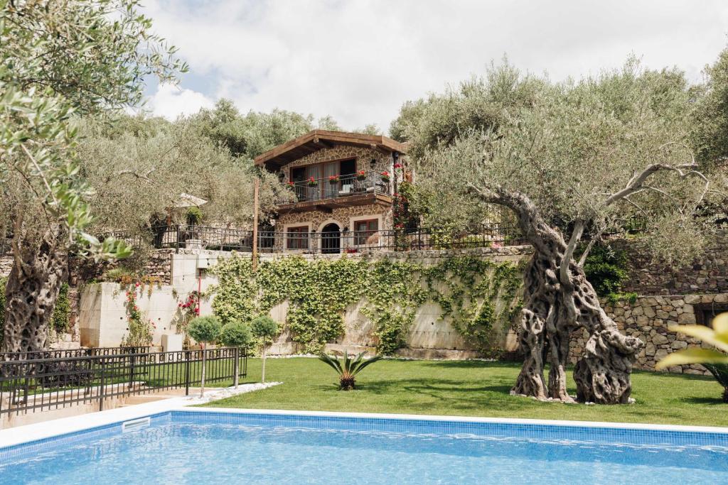 OLIVE QUEEN Rustic Estate photo 3
