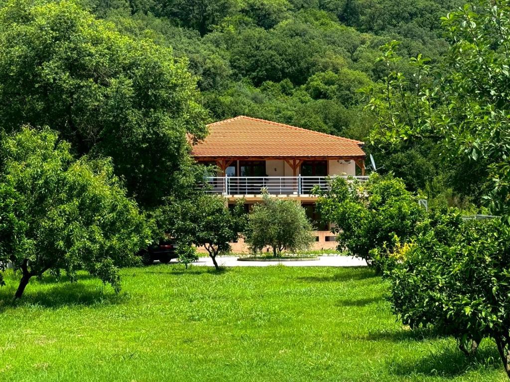 STARS RESIDENCE photo 2