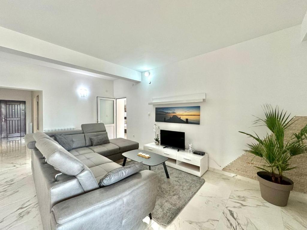 STARS RESIDENCE photo 3