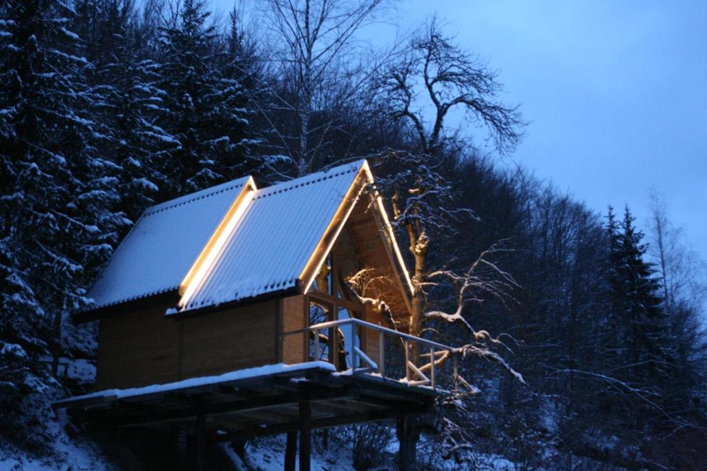 Tree house - Tara Place — photo 1
