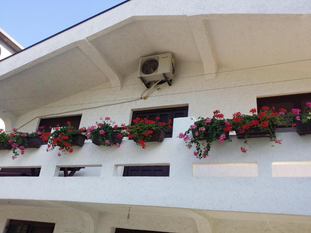 Apartman Tripkovic — photo 1