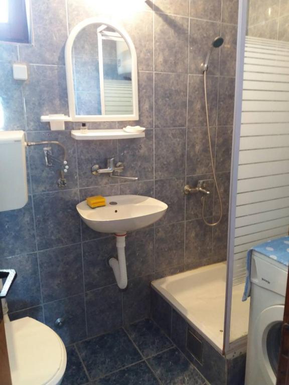 Apartman Tripkovic photo 3