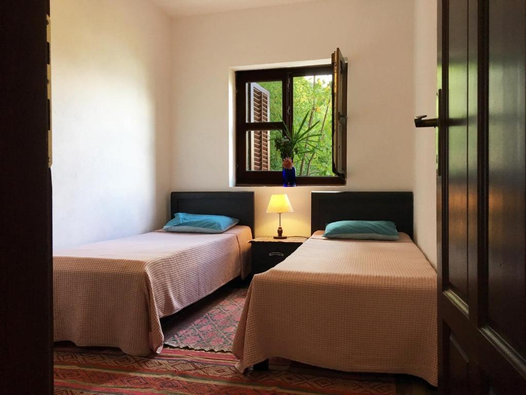 Zazenda House photo 2
