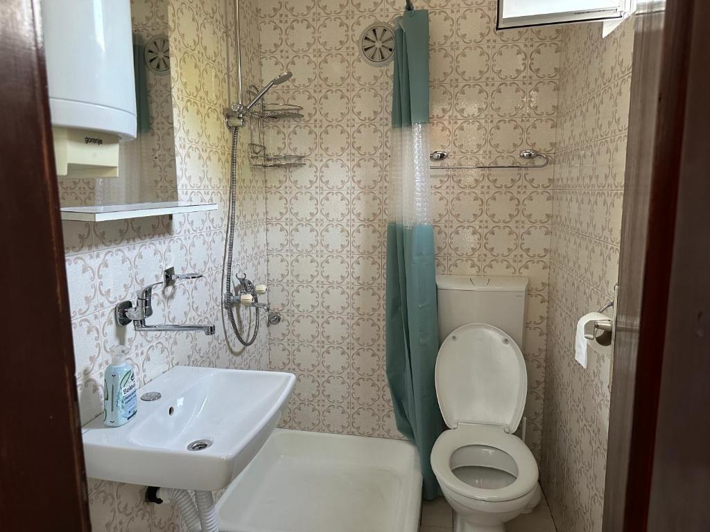 Apartments Suzana photo 3