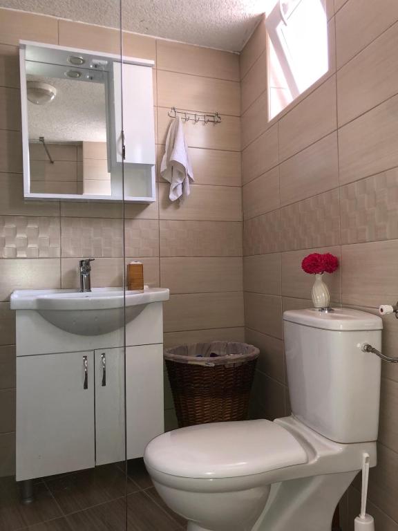 Ruza apartman photo 3