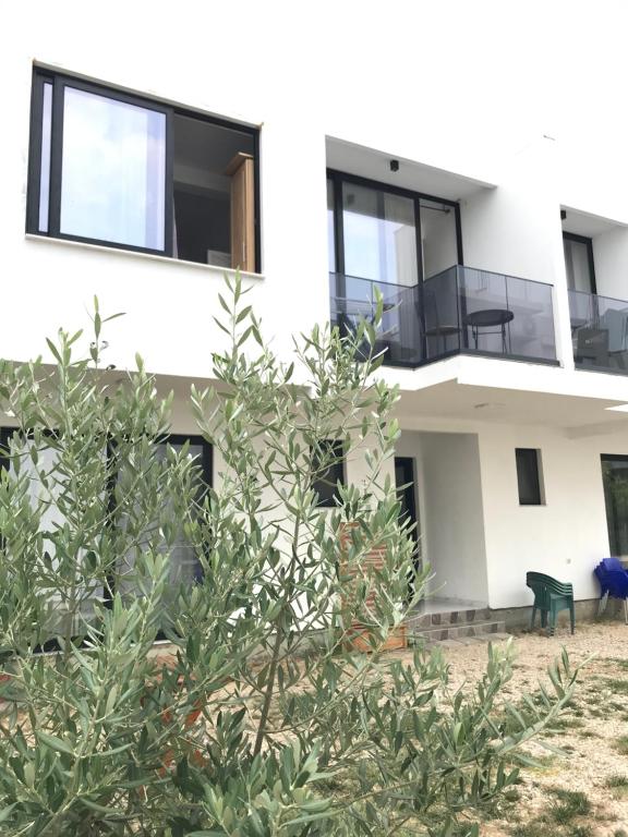 Rine Apartments — photo 1