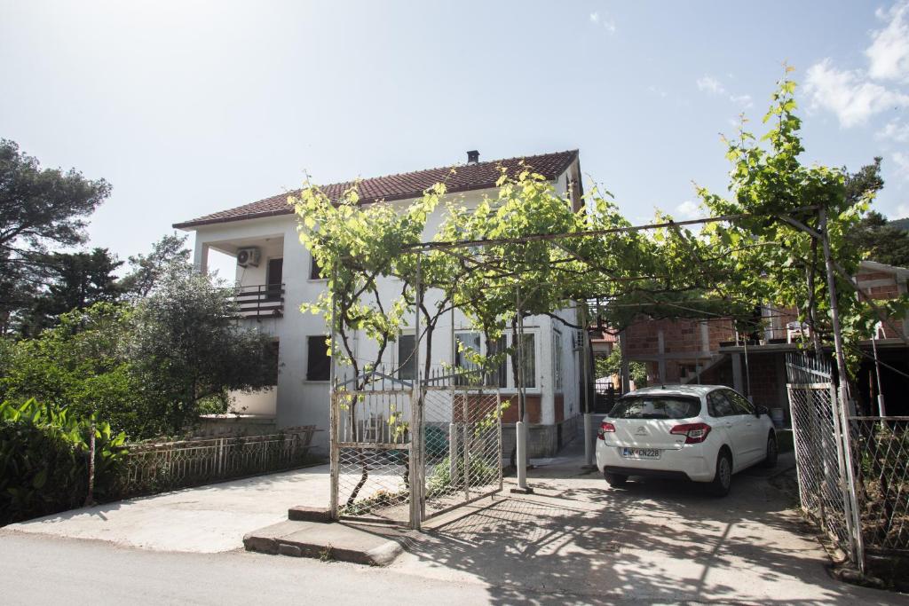 Stojkovic Family Apartments — photo 1