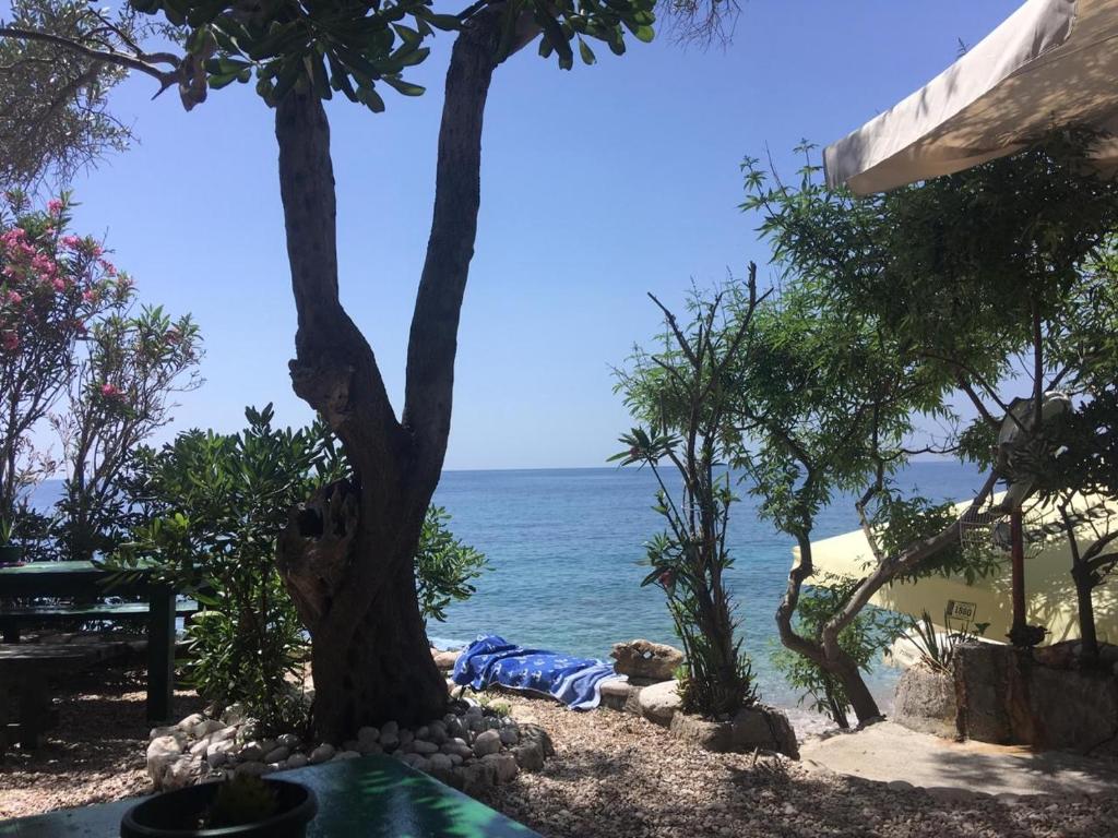 Villa Masha photo 2