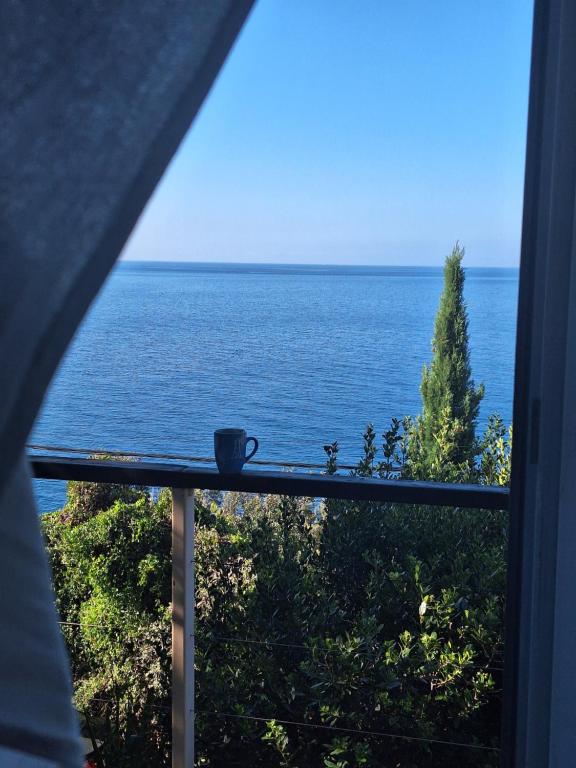 SunnyDay House — photo 1