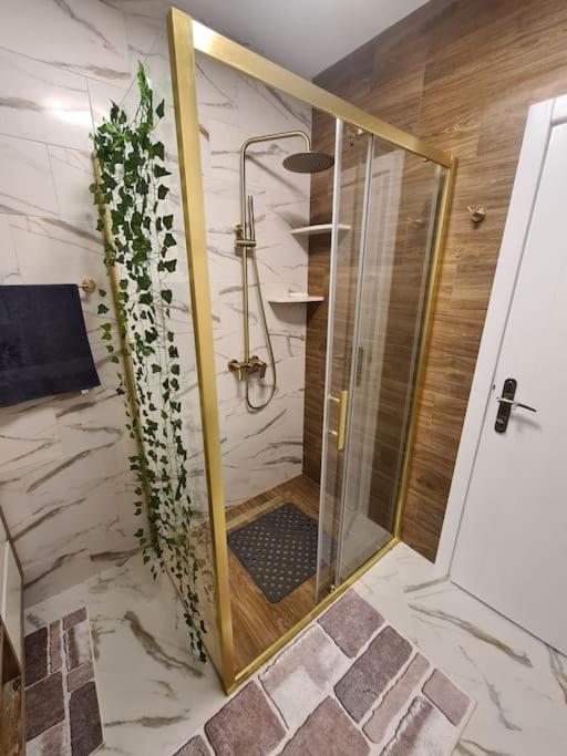 Savina De Lux Apartment photo 3