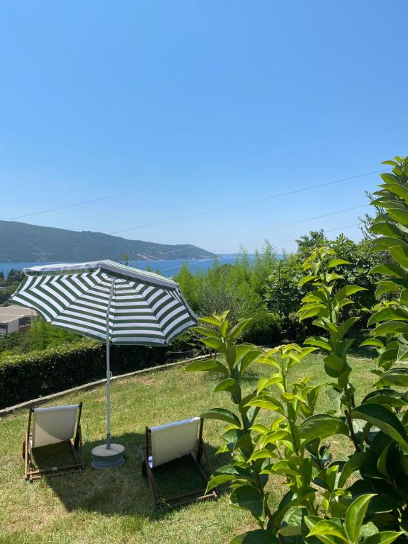 Zelenica Apartment — photo 1